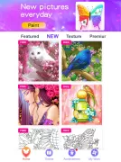 Paint Color: Color by Number