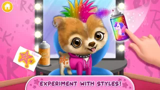 Rock Star Animal Hair Salon