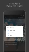 Google Wallpapers