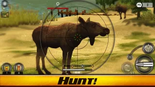 Wild Hunt: Real Hunting Games