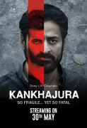 Sony LIV