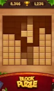 Block Puzzle - Wood Legend