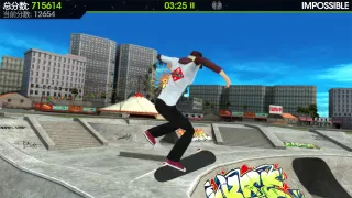 Skateboard Party 2