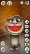 Talking Tom Cat