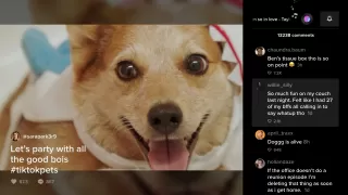 TikTok for Android TV