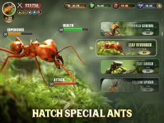 The Ants: Underground Kingdom