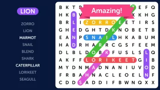 Word Search