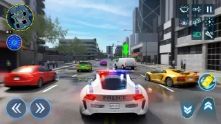 Police Duty: Crime Fighter