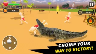 Crocodile Games - Animal Games