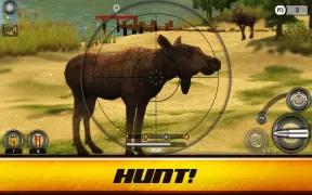 Wild Hunt: Real Hunting Games