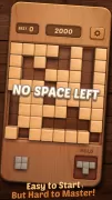 Wood Block Puzzle 3D