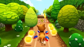 Pet Run - Puppy Dog Game