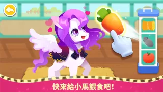 奇妙小馬俱樂部