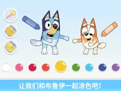 布鲁伊 - 一起玩吧
