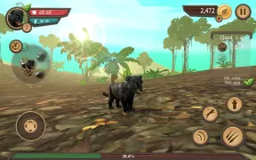 Wild Panther Sim 3D