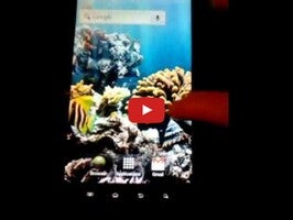 The real aquarium - Live Wallpaper