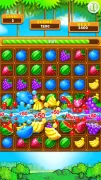 Fruit Splash