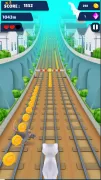 Cat Run 3D