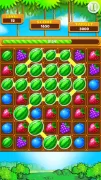 Fruit Splash