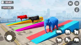 GT Animal 3D: Racing Game