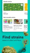 Weedmaps