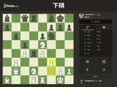 棋 · 玩与学