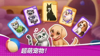 星厨奇迹：筑梦之旅