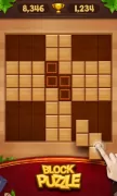 Block Puzzle - Wood Legend