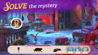 Seekers Notes: Hidden Objects