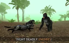 Wild Panther Sim 3D