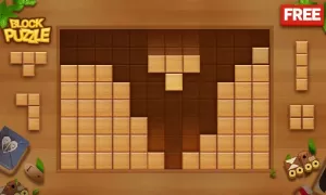 Block Puzzle - Wood Legend