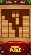 Block Puzzle - Wood Legend