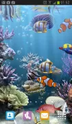 The real aquarium - LWP