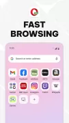 Opera Mini: Fast Web Browser