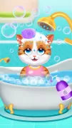 Cute Kitty Cat Pet Care