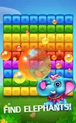 Happy Fruits Bomb - Cube Blast
