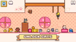 Super Cat Tales 2