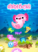 Axolochi