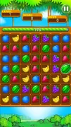 Fruit Splash