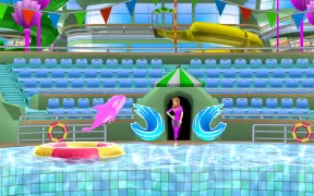 My Dolphin Show