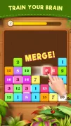 Drag n Merge: Block Puzzle