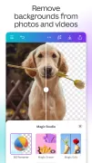Canva