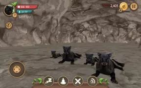 Wild Panther Sim 3D