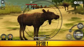 Wild Hunt： 打獵遊戲-立體打獵與射擊