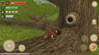 Squirrel Simulator 2 : Online