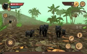Wild Panther Sim 3D