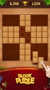 Block Puzzle - Wood Legend