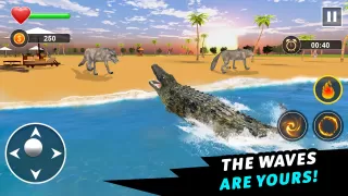 Crocodile Games - Animal Games