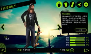 Skateboard Party 2