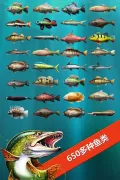 Let's FIsh：最经典的钓鱼游戏